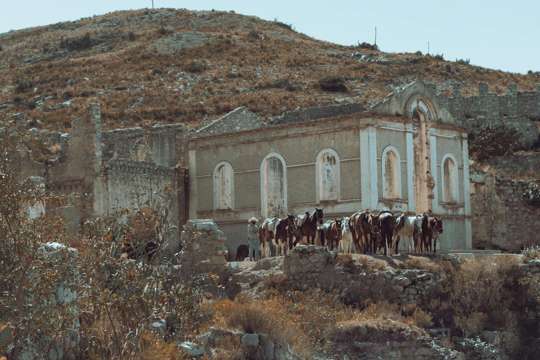 Horses gathered near ancient stone ruins in Real de Catorce, Mexico.